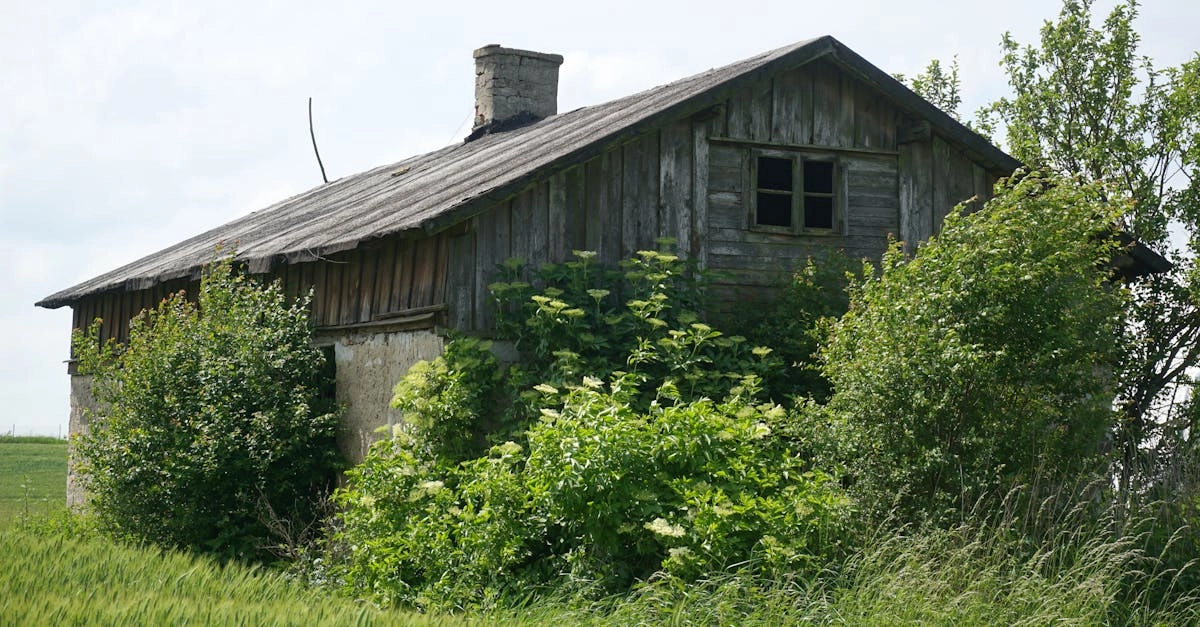 Творческая мастерская с фермерскими мотивами и художественными материалами